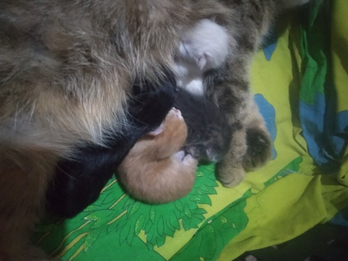 Фото автора истории. 