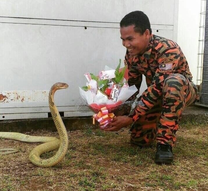 Цветы для любимой