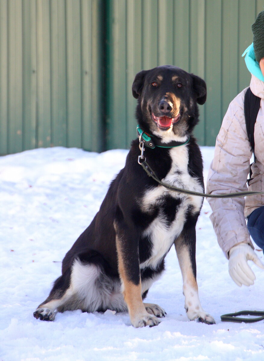 Узор Джеммы на груди