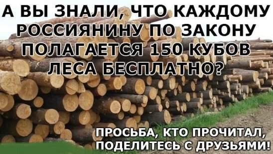 Каждому россиянину по закону полагается 150 кубов леса бесплатно