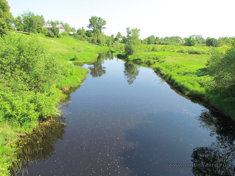 Прекрасная река Тигода в окрестностях Любани.