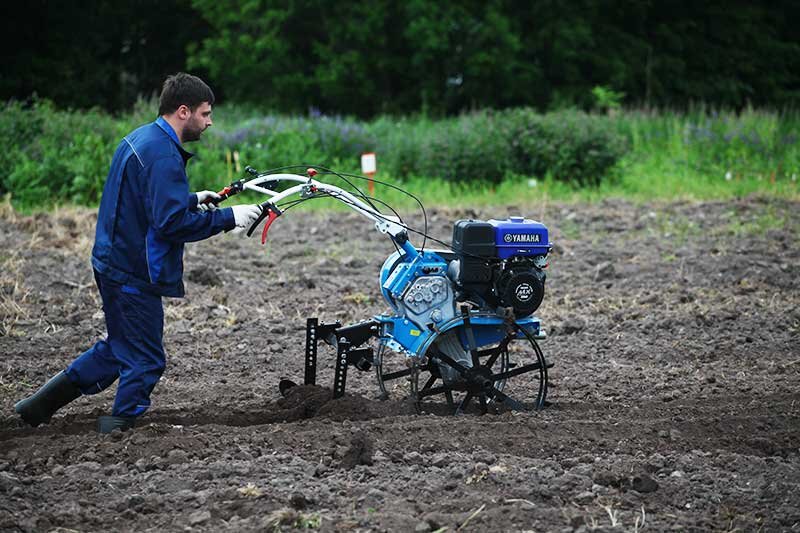 фото из поиска Яндекс