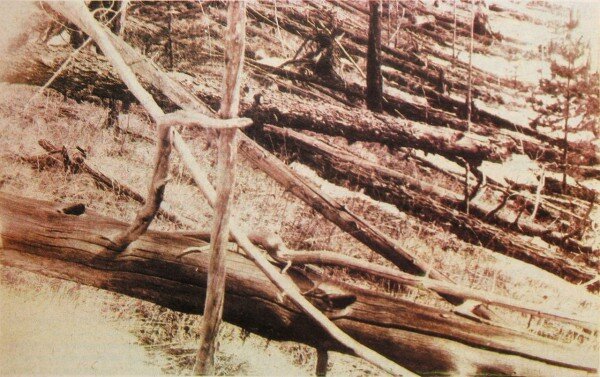 http://scihi.org/wp-content/uploads/2016/08/Tunguska_event_fallen_trees-600x377.jpg