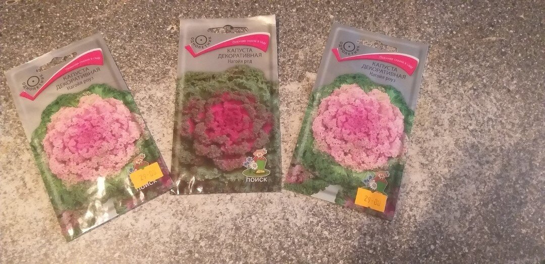 Мои покупки