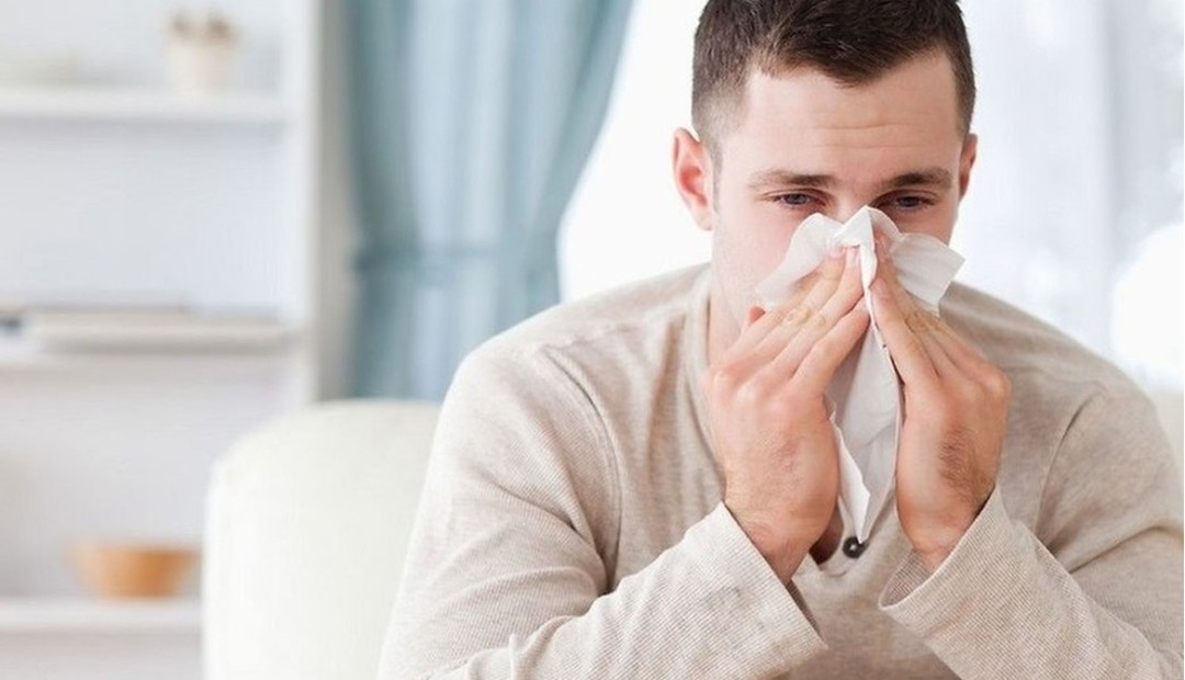 Данная картинка взята с сайта "Яндекс Картинки"