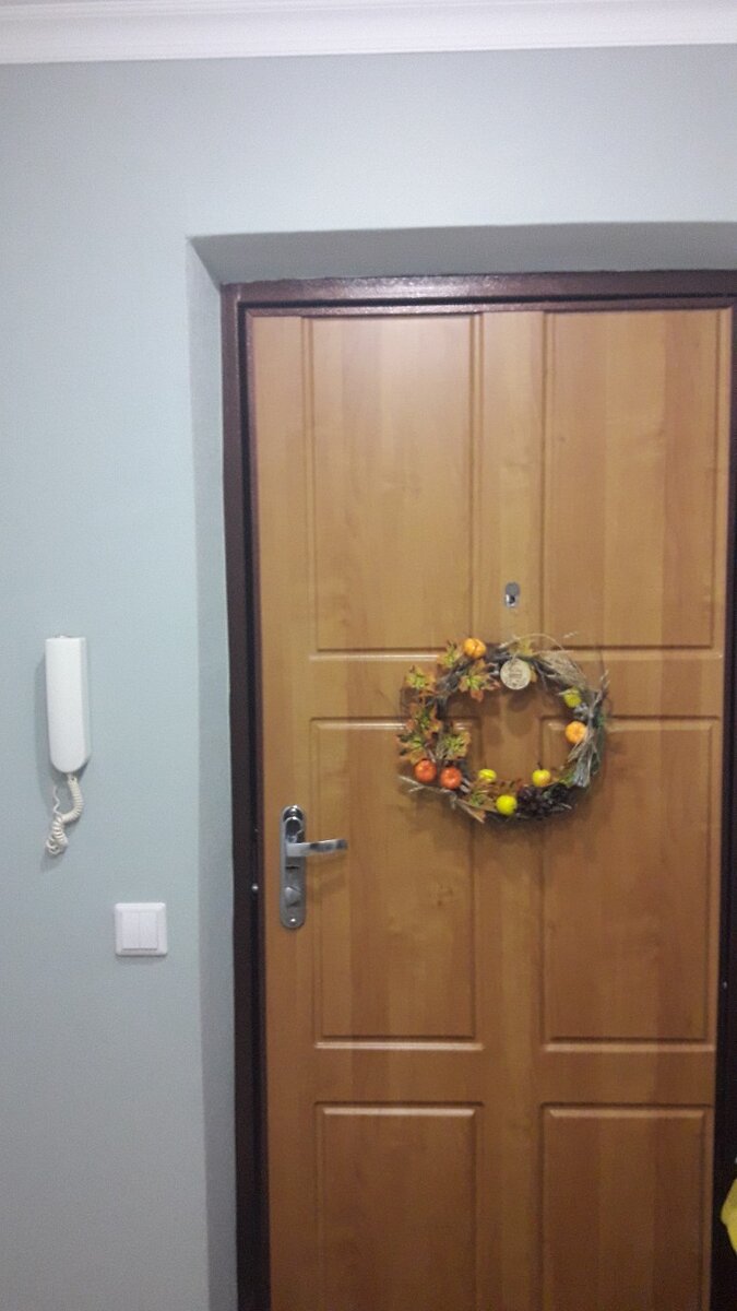 Дверь до перекраски 