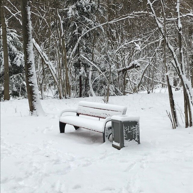 Скамейки - как артобъекты. На них сегодня не очень-то и посидишь.