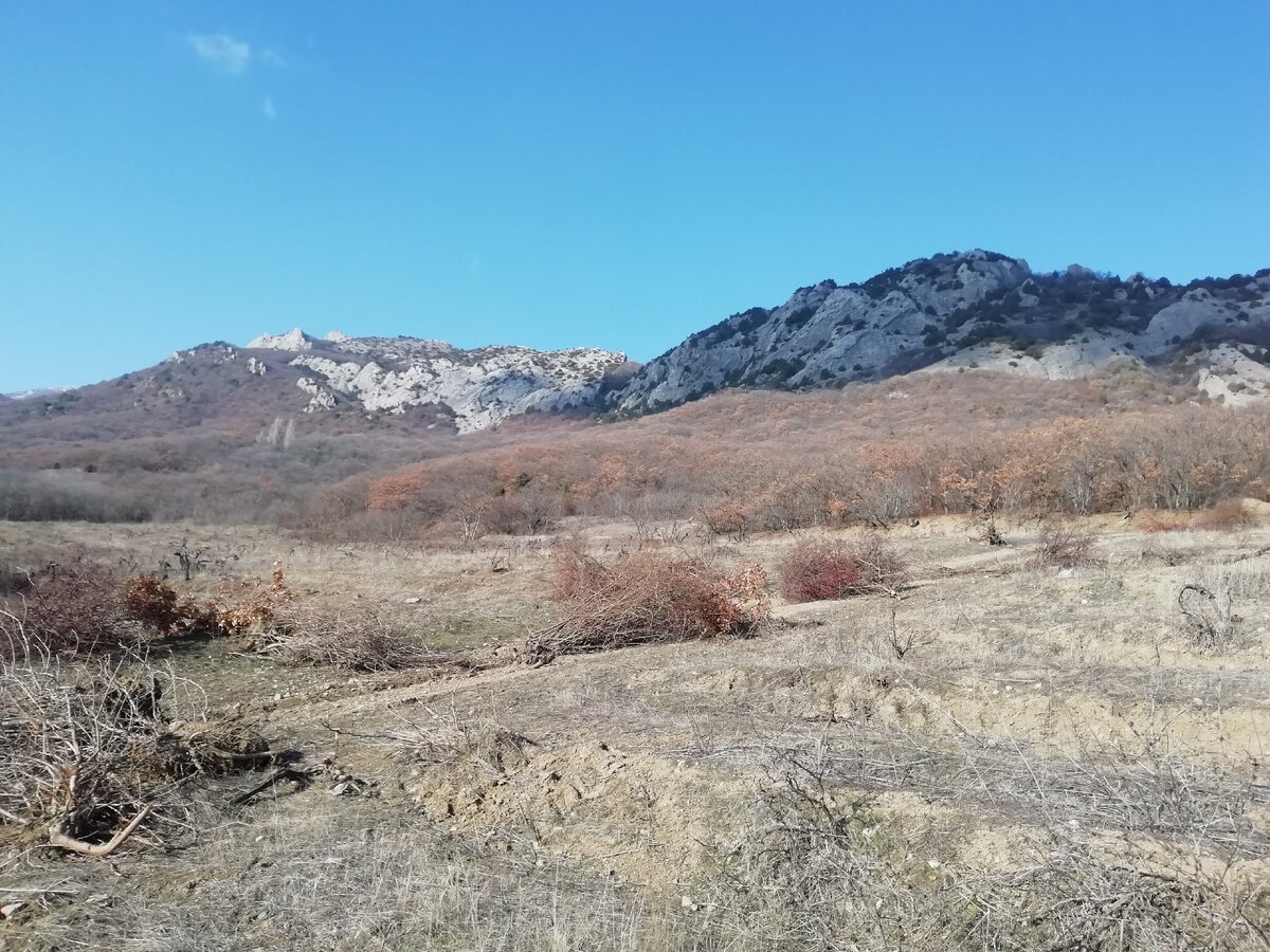 фото автора канала Блог Кладоискателя.