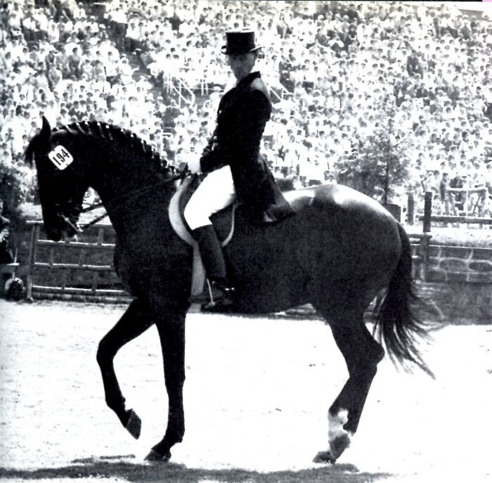 Советский конный спорт. Кизимов на ихоре. Кизимов Иван Михайлович. Иван Михайлович Кисимов. Кизимов Иван Михайлович на ихоре.