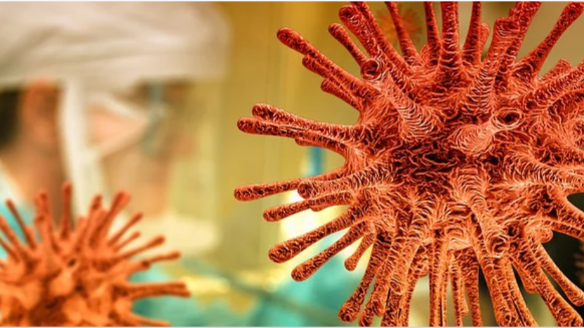 Фото: pixabay.com