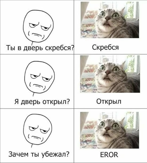 Мемы картинки про котов