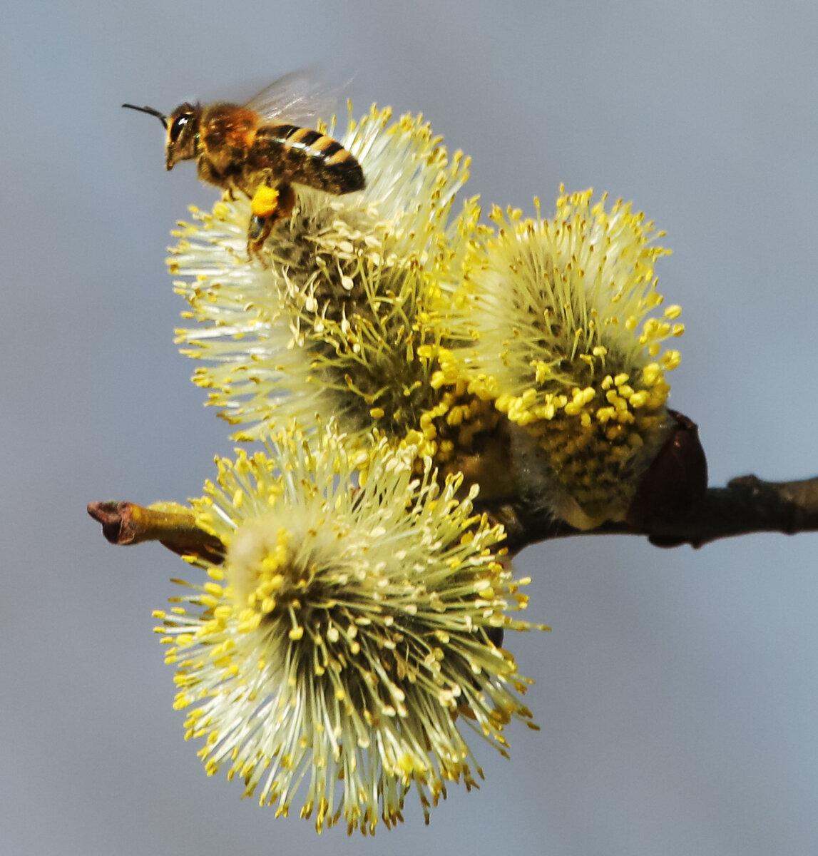 Фото из собственного архива 