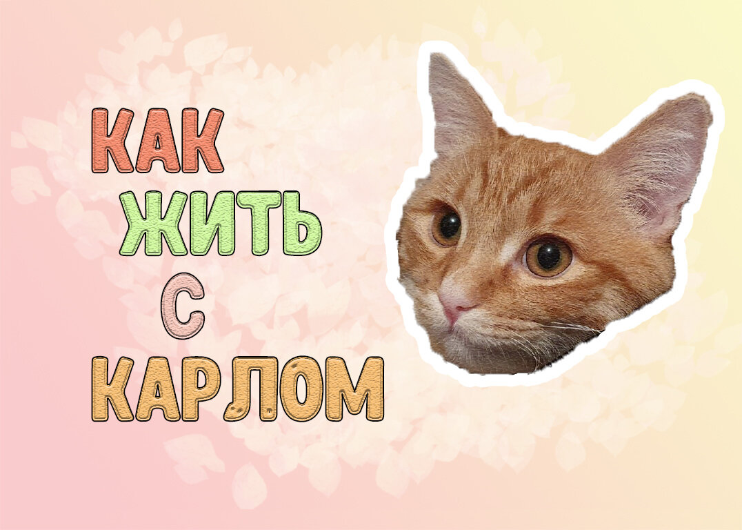 Моё творчество))