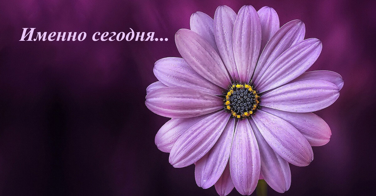 Добро пожаловать на мой канал "Именно сегодня"!