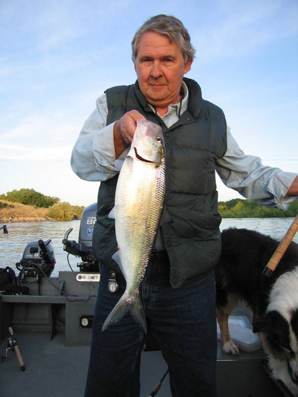 Источник: yandex.ru