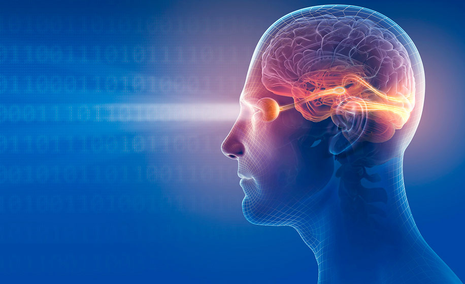 Источник Яндекс картинки 