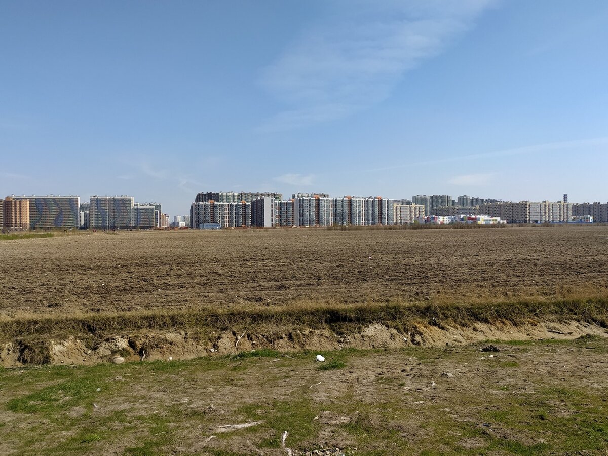 Условная граница - поле 