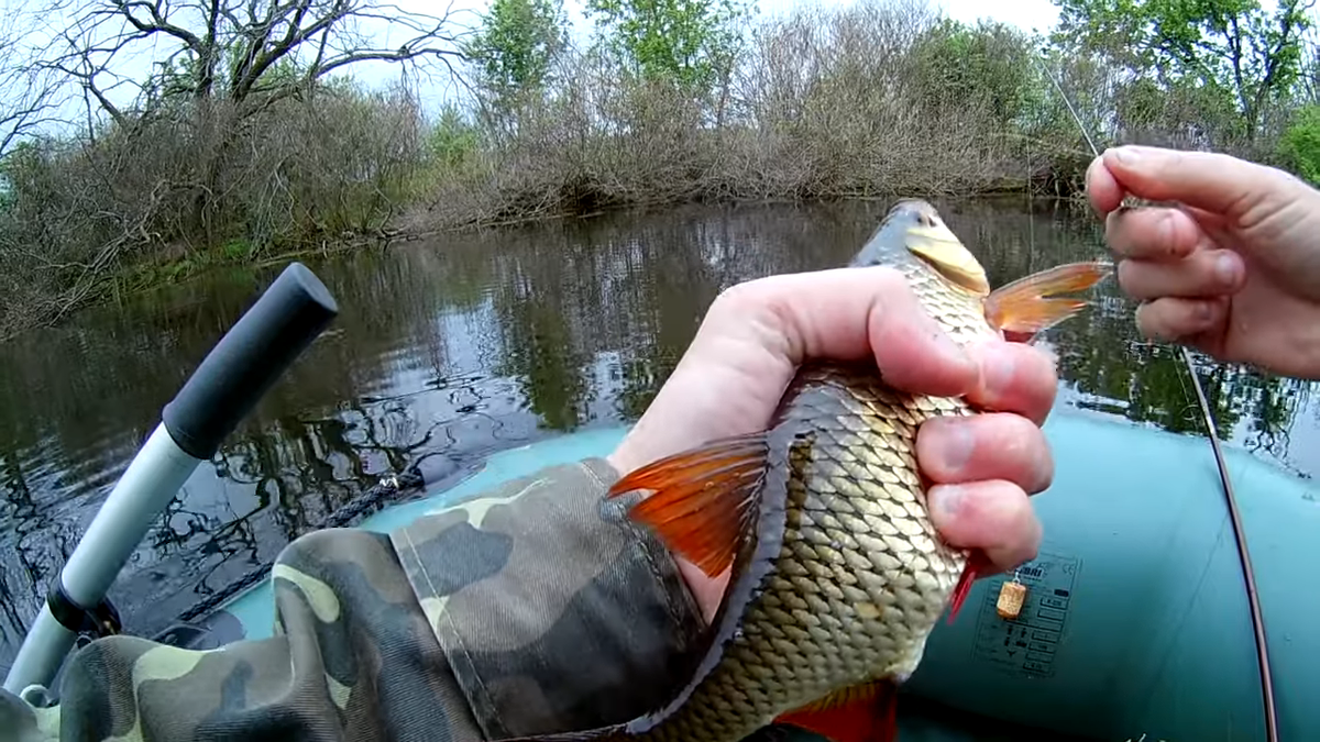 Ловля на пробку Секреты рыбалки  Весенняя рыбалка на пробку очень интересная. Рано утром я уже был на берегу озера. Добравшись до места ловли ,собрал снасть пробка и начал ловить в мелководных заливах озера. В течении рыбалки я вам расскажу о снасти пробка или попла поппер , из чего она состоит , увидите интересные поклёвки рыбы и её вываживание.Расскажу некоторые секреты рыбалки , где лучше ловить рыбу на эту снасть в каких местах водоема в общем будет интересная рыбалка на пробку или попла поппер. 