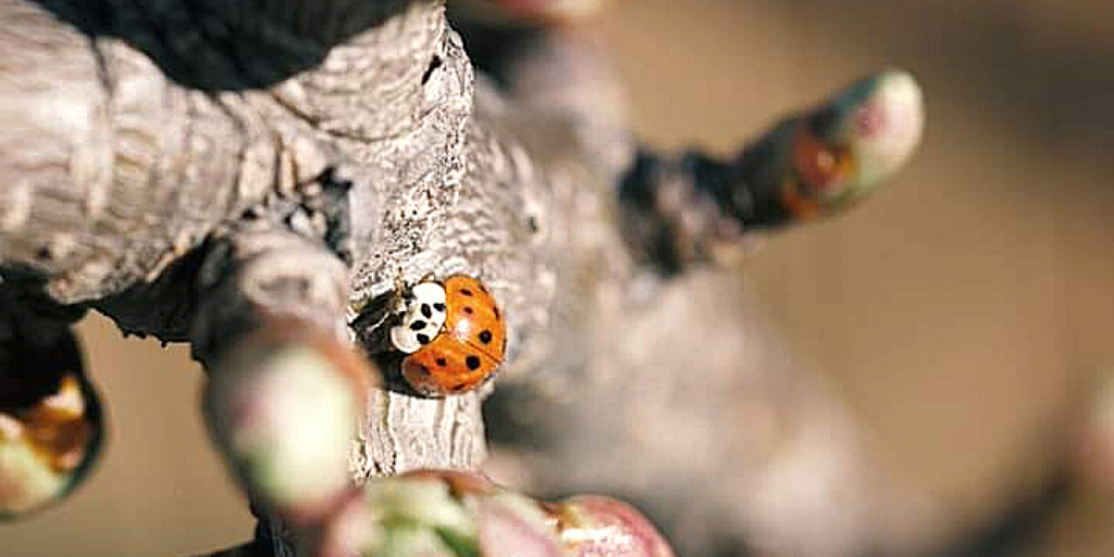 Программа жизни.Пробуждение