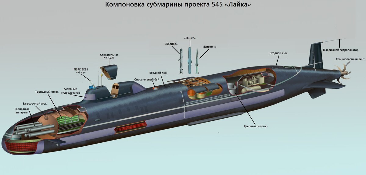 Компоновка субмарины проекта 545 «Лайка»