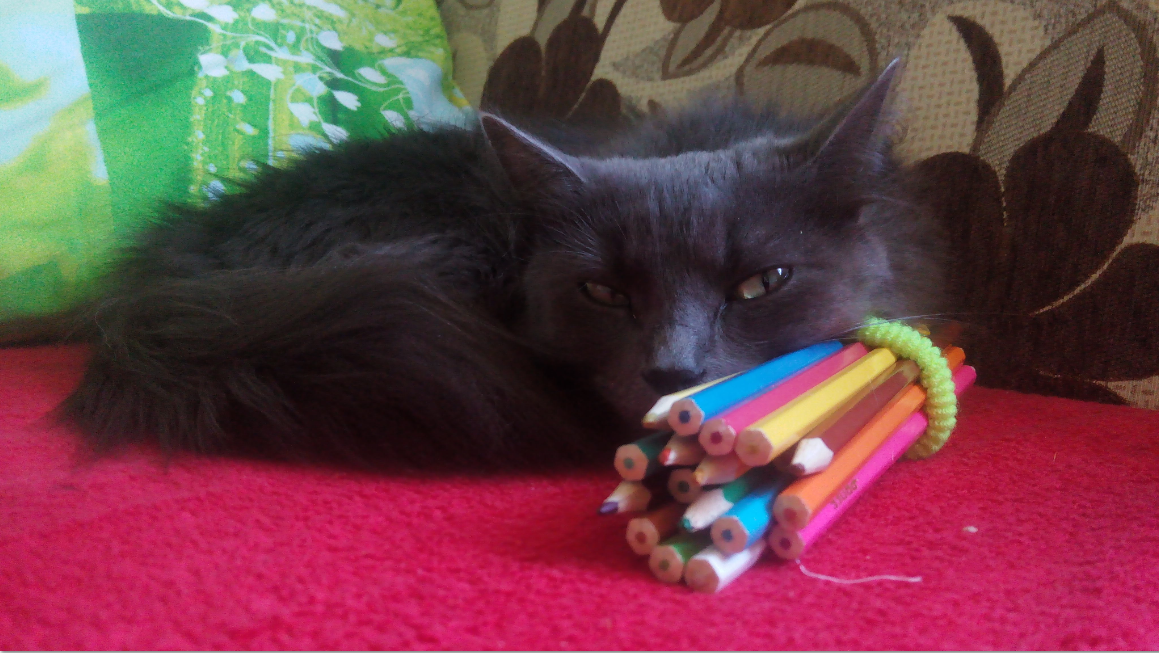 Фото из личного архива