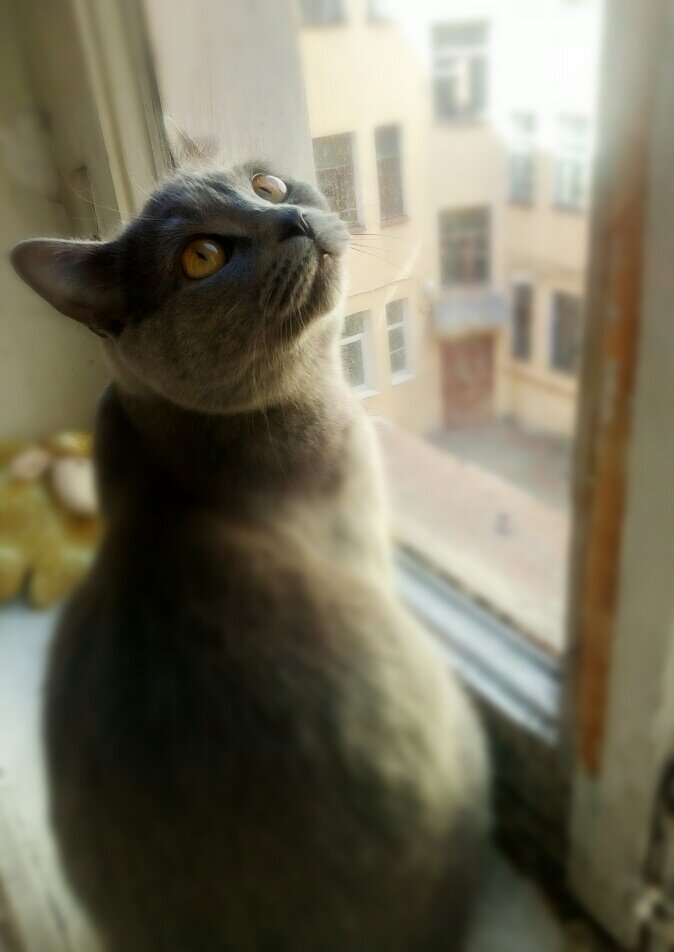 Скоро мы не будем слушать акустику двора-Колодца. Фото автора.