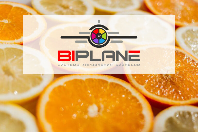 Платформа бизнес-аналитики BIPLANE24