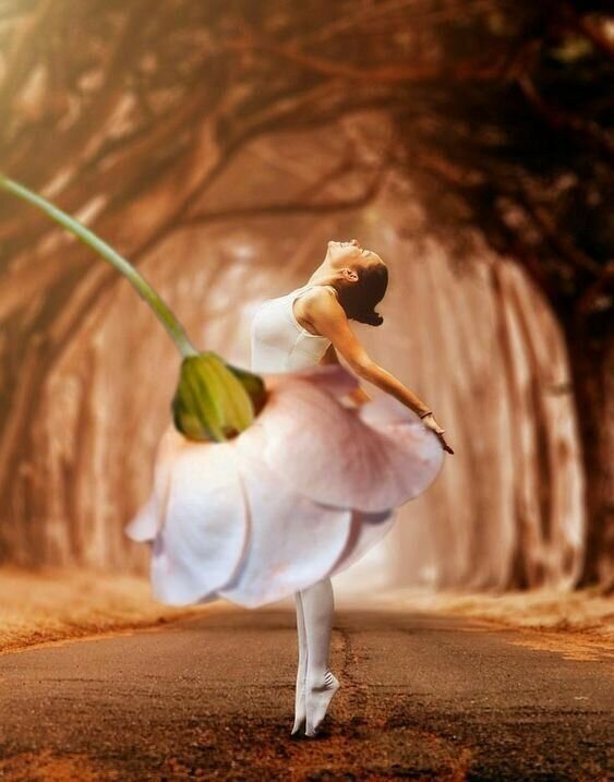 Илона с детства любила балет и шла к своей мечте... Но о таком ли она мечтала? 