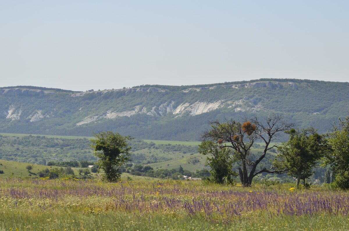   Все фото автора