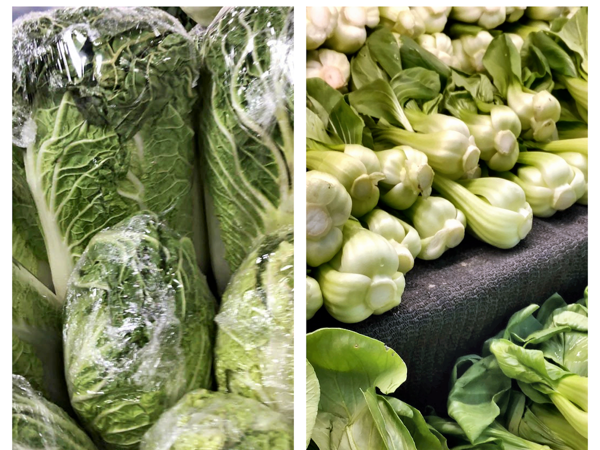 Фото CSU-Extension/Pixabay. Коллаж мой