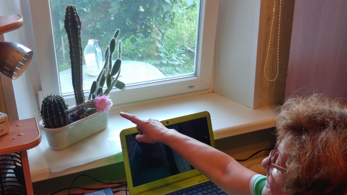 Маленькая радость большой жизни