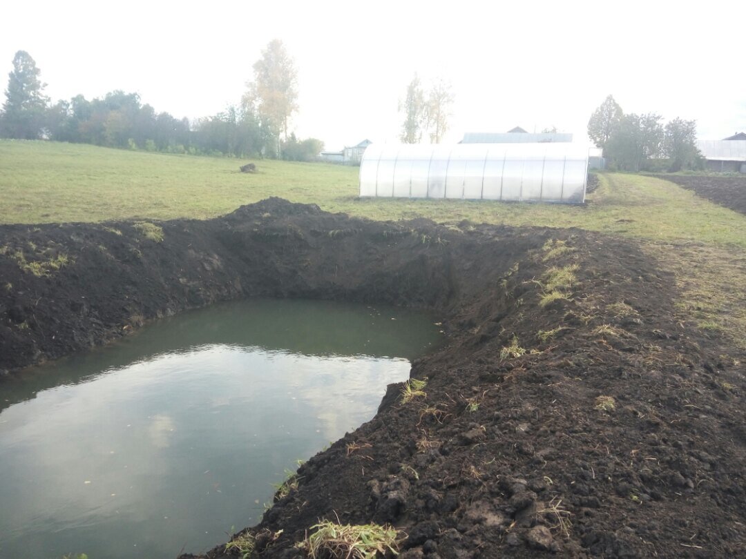 Пруд выратый в первый раз