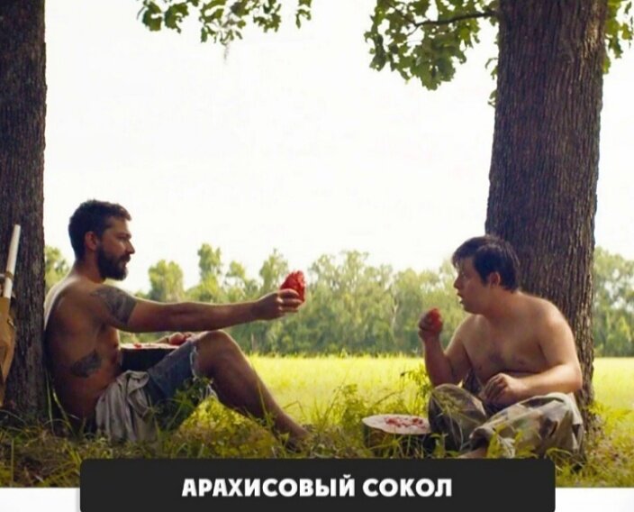 АРАХИСОВЫЙ СОКОЛ Великолепный Фильм с Заком Готтзагеном в главной роли акте- ром с синдромом Дауна. Его коллегами по площадке стали Шайа Лабаф и Дакота Джонсон. В итоге получился инди-Фильм, мимо ко- торого пройти невозможно. Главный герой картины очарователь- ный паренек Зак с синдромом Дауна. У него нетродных, поэтому он вынужден жить за решеткой дома престарелых. Он хочет стать профессиональным борЦом. Путь к мечте лежитчерез путешесТвие на плоту с двумя такими же одинокими сердцами, как и он сам.
