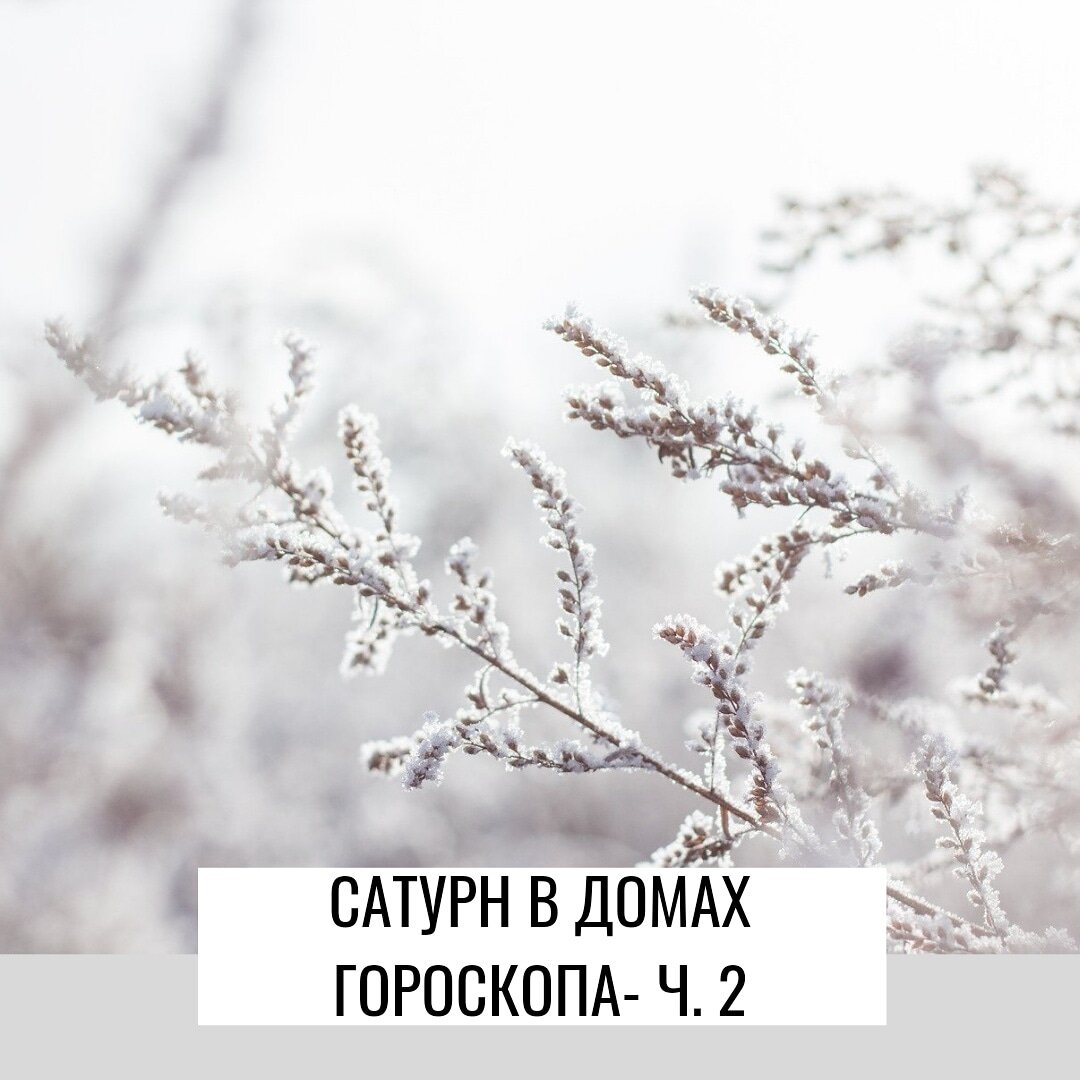 Социальная планета