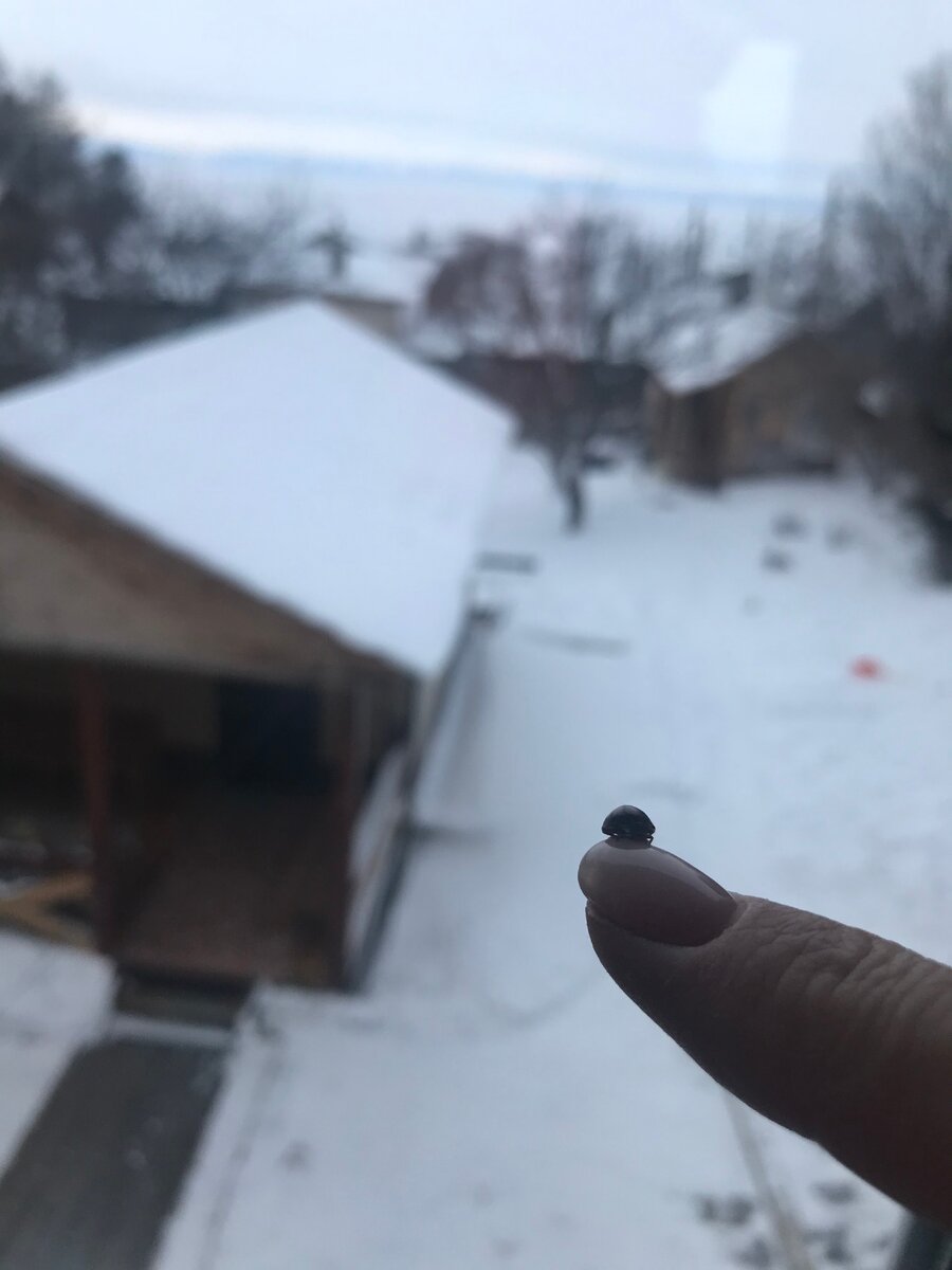 фото из личного архива