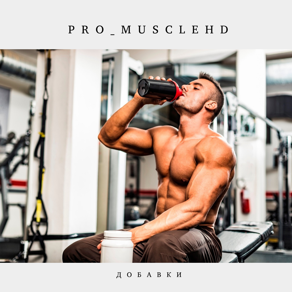 Pro_MuscleHD