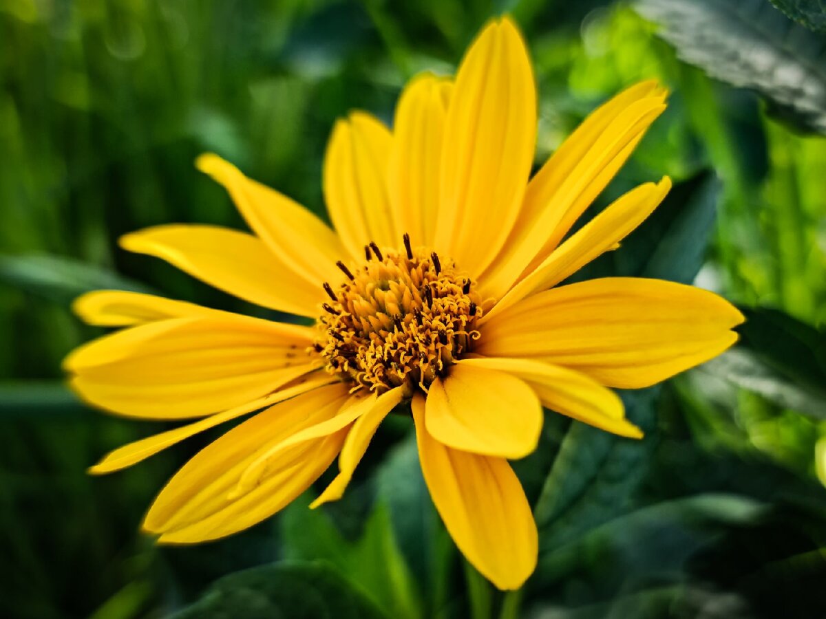 Личный архив