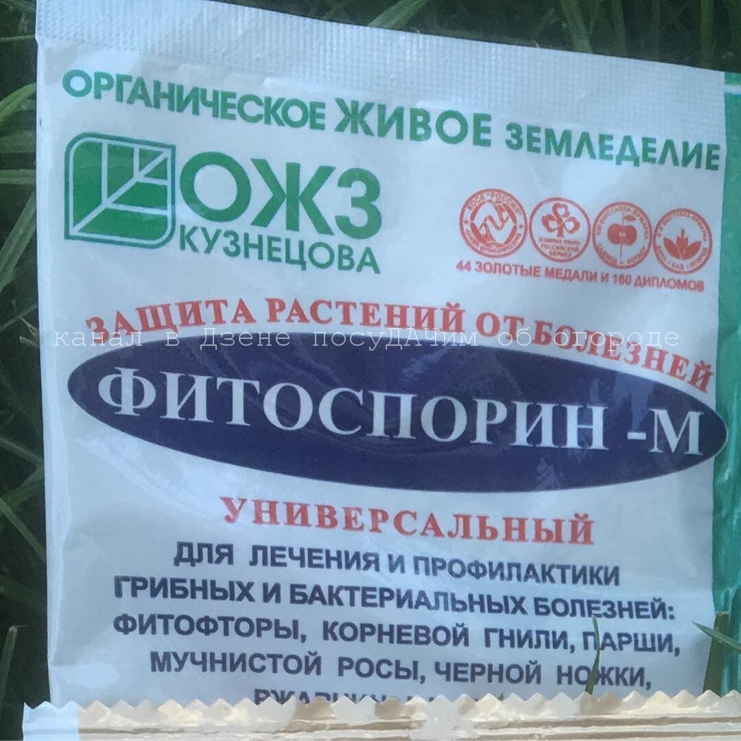 Фитоспорин-М - самый популярный препарат среди дачников