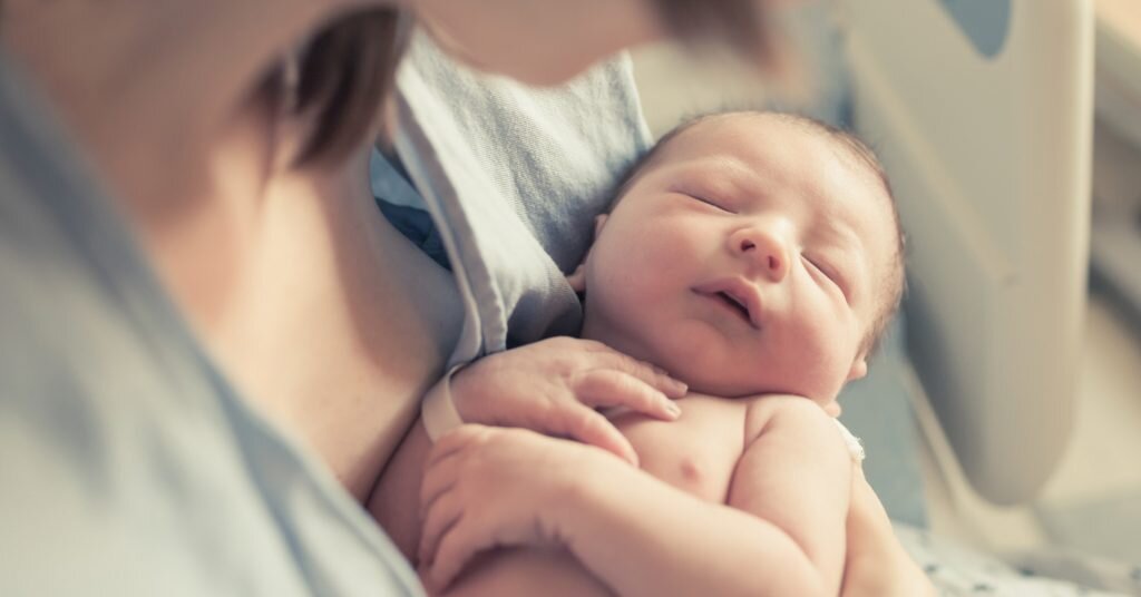 Фото взято из открытого источника