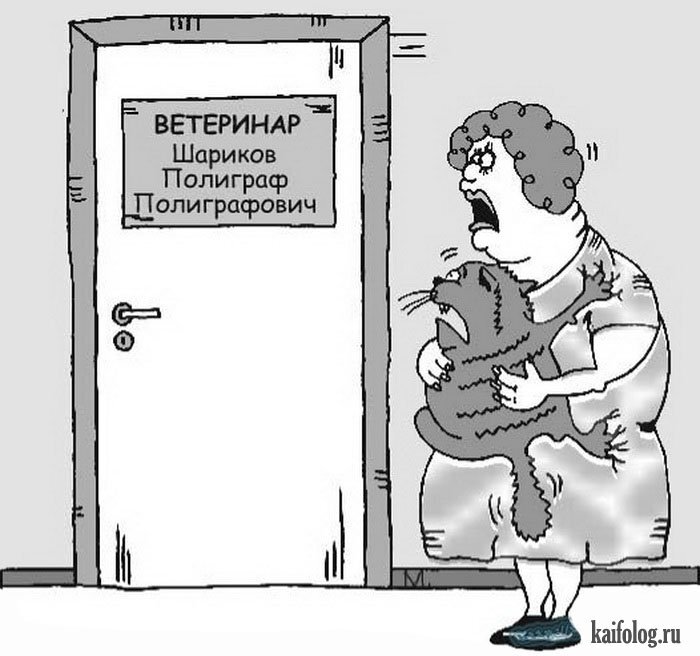 Ветеринар смешные картинки