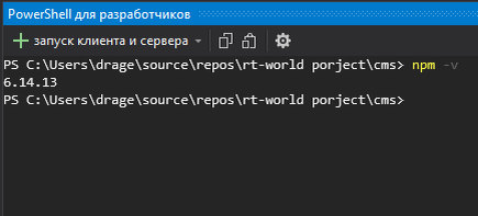 Проверка версии npm