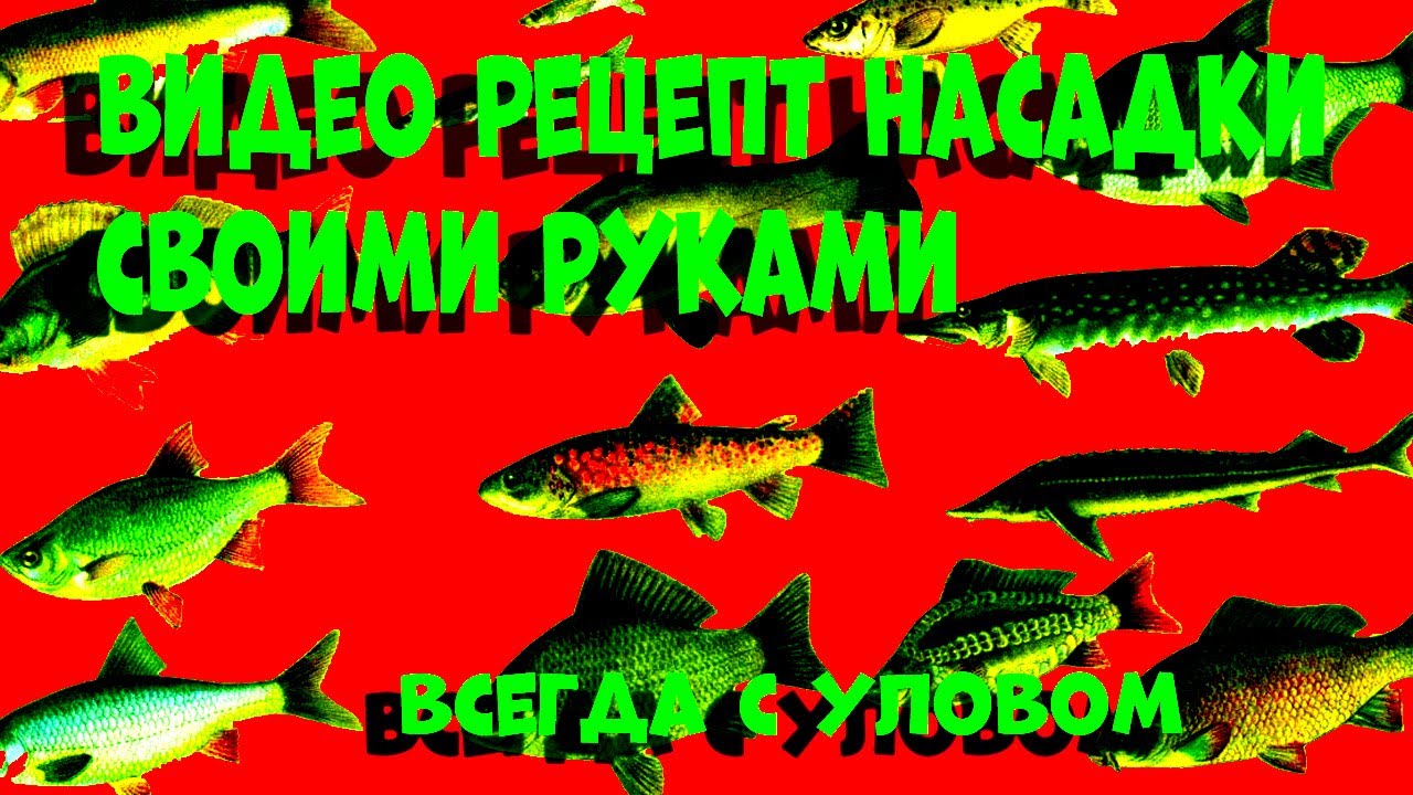 ЛОВУШКИ ДЛЯ РЫБЫ МЕРЕЖА ВЕРША Как сделать мережу вершу. Изготовление ловушек. Бушкрафт.