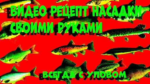 Хотите много рыбы не напрягаясь без сетей? Проверено-работает! Масло для рыбалки своими руками чудо