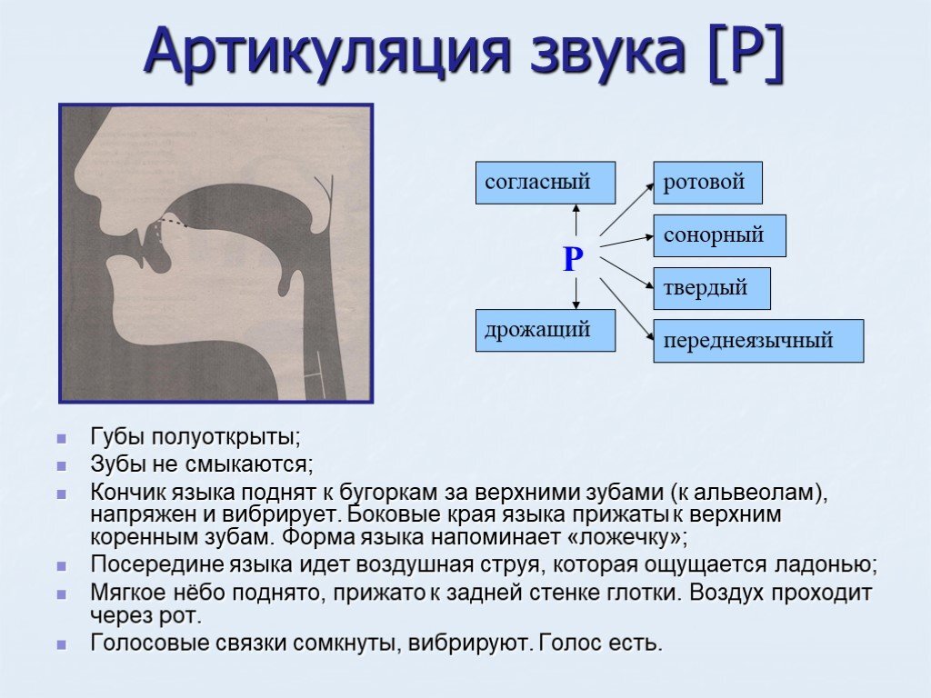 Как произносится р. Артикуляция звука р. Правильная артикуляция звука р. Артикуляционный профиль звука р. Положение органов артикуляции при произнесении звука р.