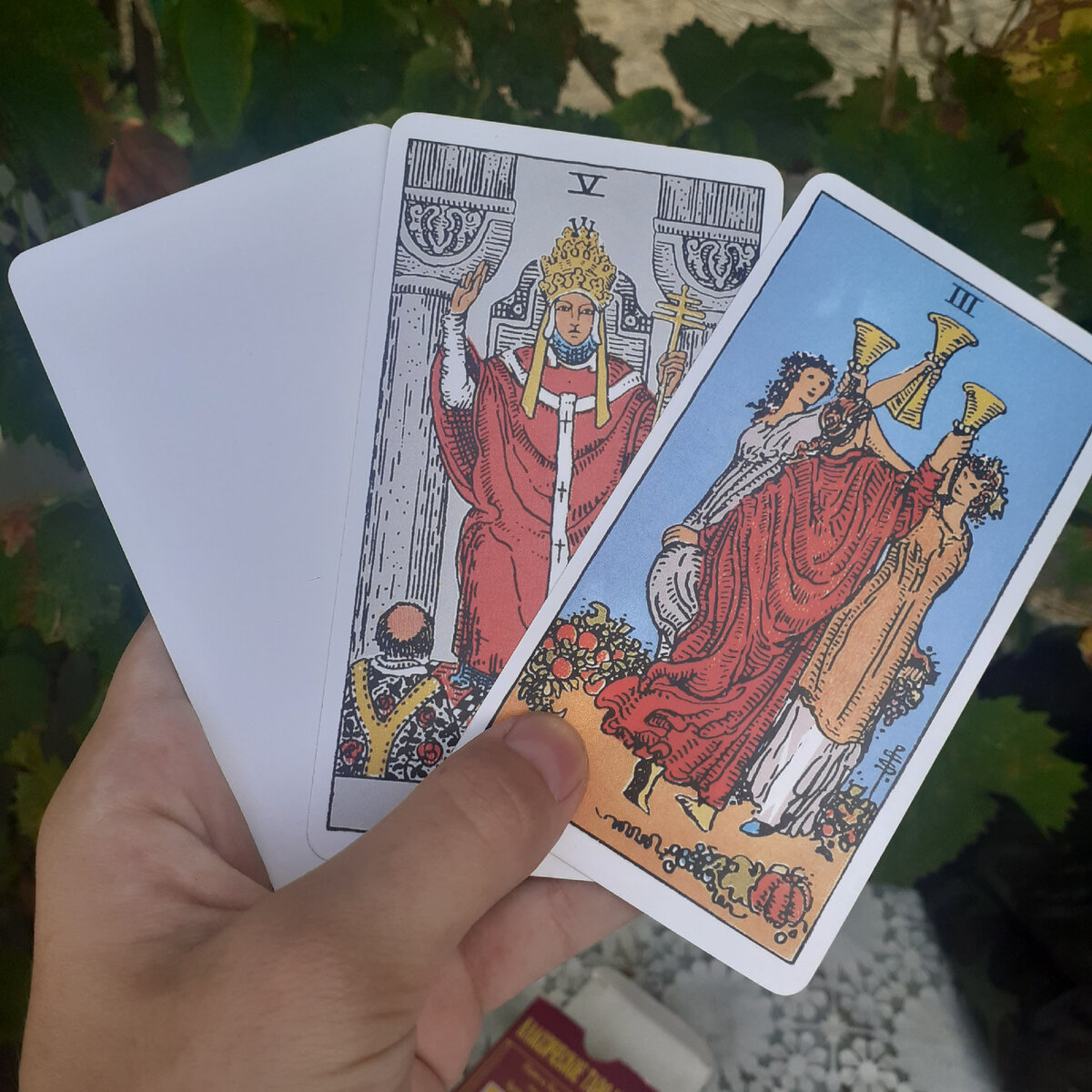 Фото автора