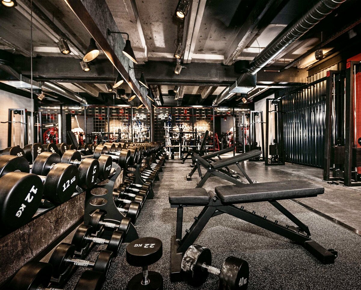 Фото взято из открытых источников 