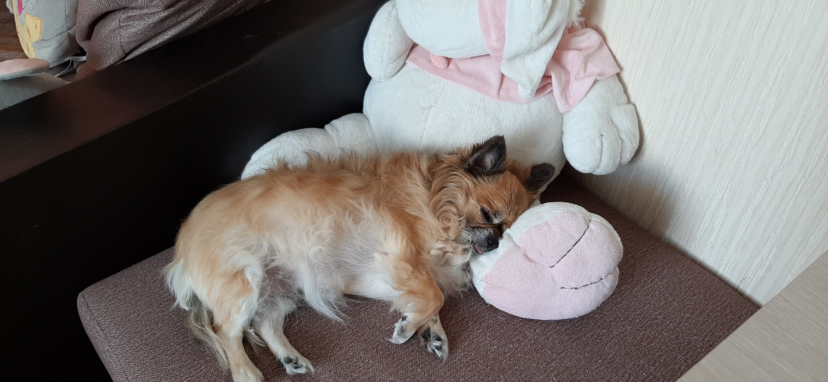 мое обычное состояние днем, когда все на работе