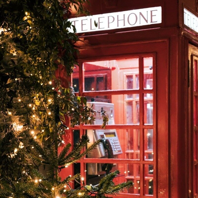 Фото instagram.com/gardenize/p/CXgR-fhqefE/