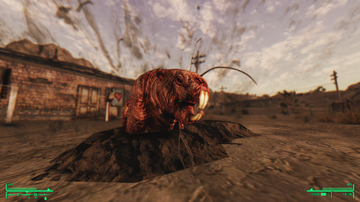 Кротокрыс вылезает из-под земли