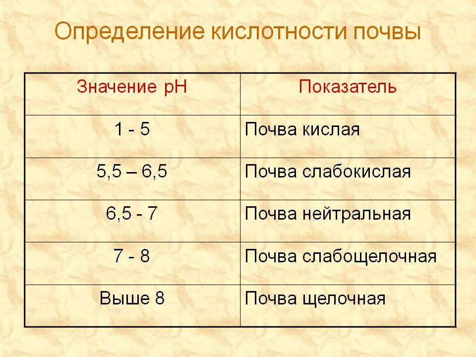 Кислотность почвы для салатов